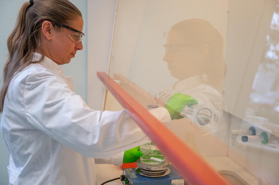 Labmedewerker vult een maatbeker achter glas