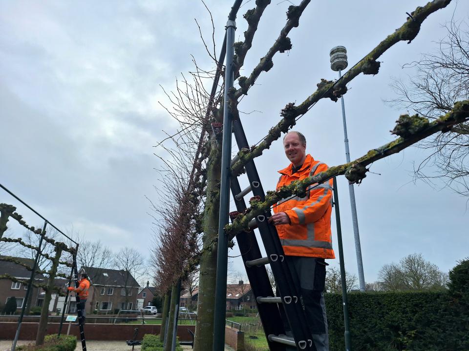 Medewerker groen die stage loopt